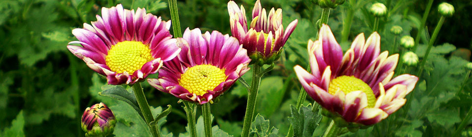 卡密代理内部的轰炸电话在线下单