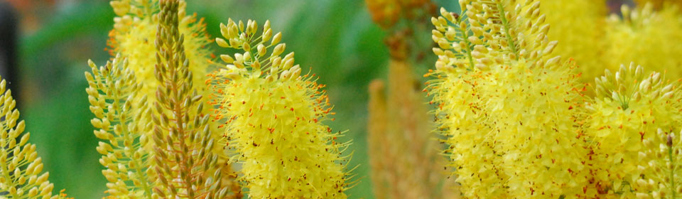 在线手机号轰炸测试